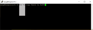 How To Copy And Paste In PuTTY Terminal