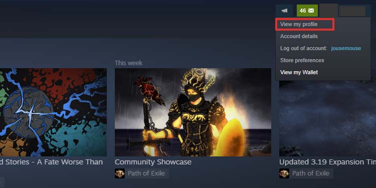 steam profile