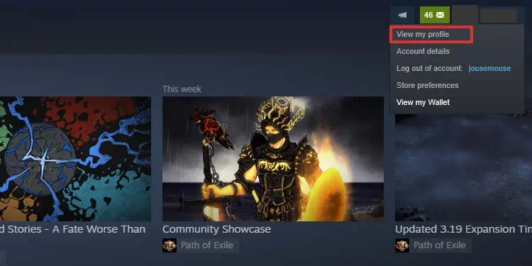 steam-profile-1