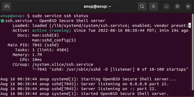 sudo-service-ssh-status