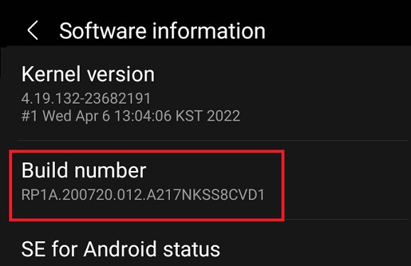 tap on build number seven times