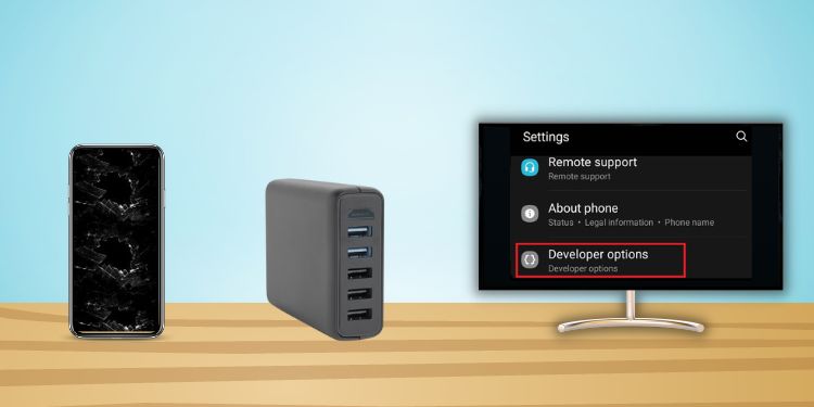 turn on developer options on monitor