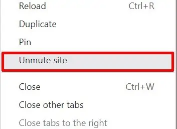 Audio Not Working on YouTube? Try These Fixes 30 unmute-site-option