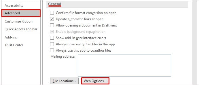 web-options-word
