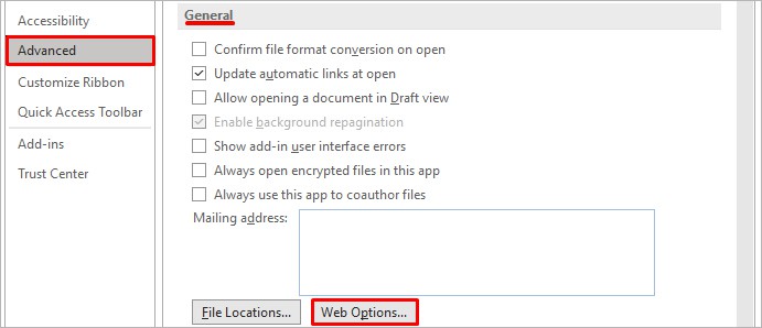 web-options-word