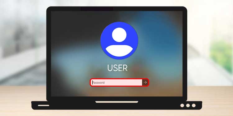 windows-not-accepting-password