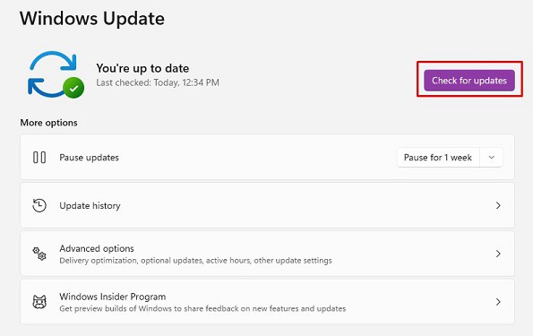 windows update check