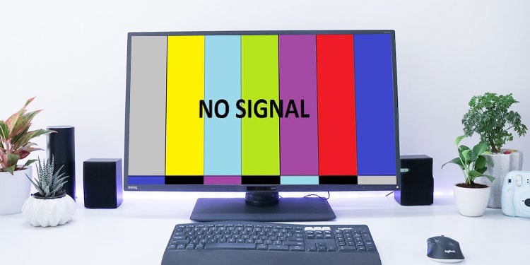 computer says no signal