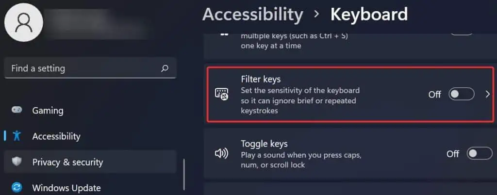 Disable-filter-keys-1-1024x402
