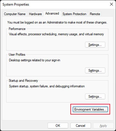 Environment-variables