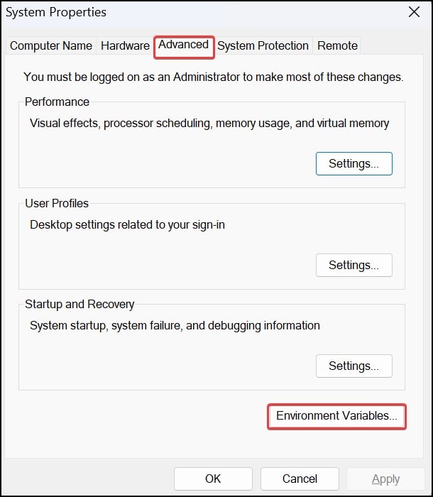 Environment variables settings
