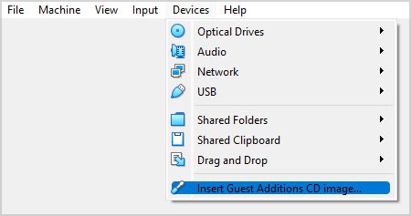 Insert-Guest-Additions-CD