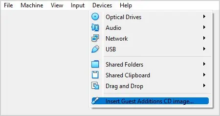 Insert-Guest-Additions-CD