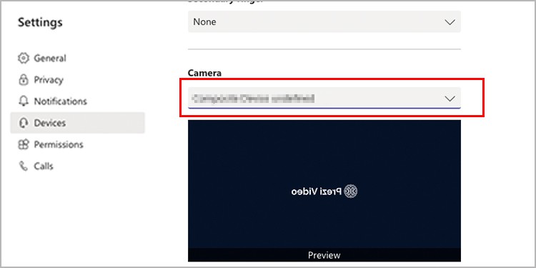 TeamsCameraPreview