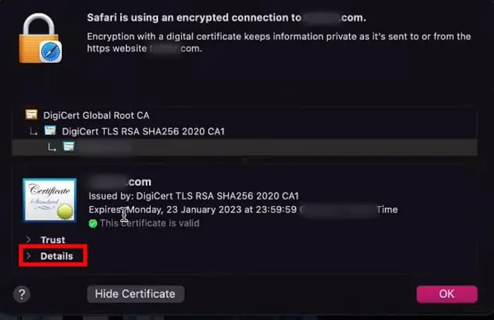 How to Fix "Safari Cannot Establish Secure Connection" Error 45 click-on-details