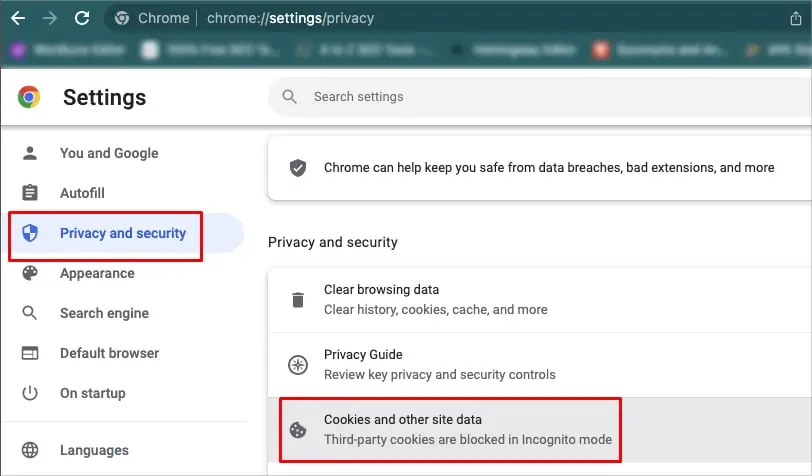 cookies-and-other-site-data