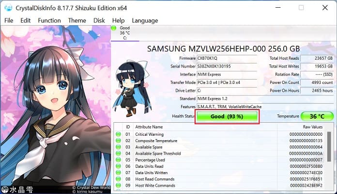 health status crystaldiskinfo
