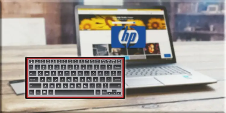 HP Laptop Keyboard not Working? Try These Fixes