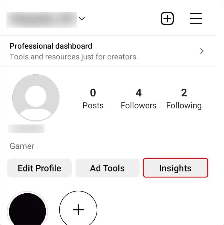 insights