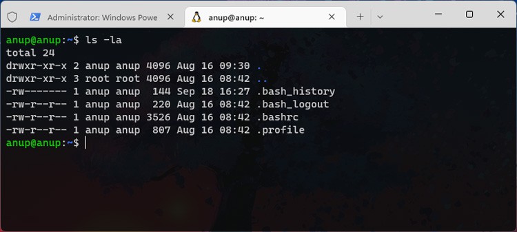 How To Install Linux Terminal On Windows - 48