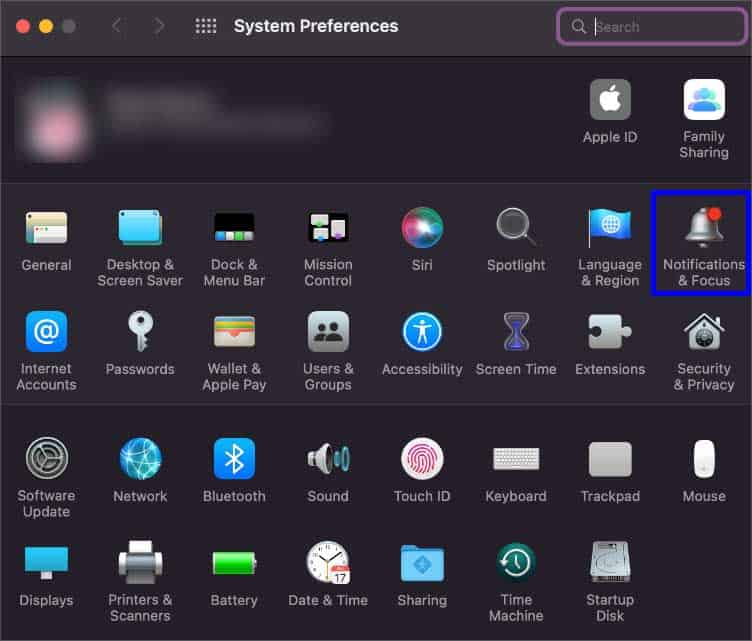 notifications-and-focus-icon