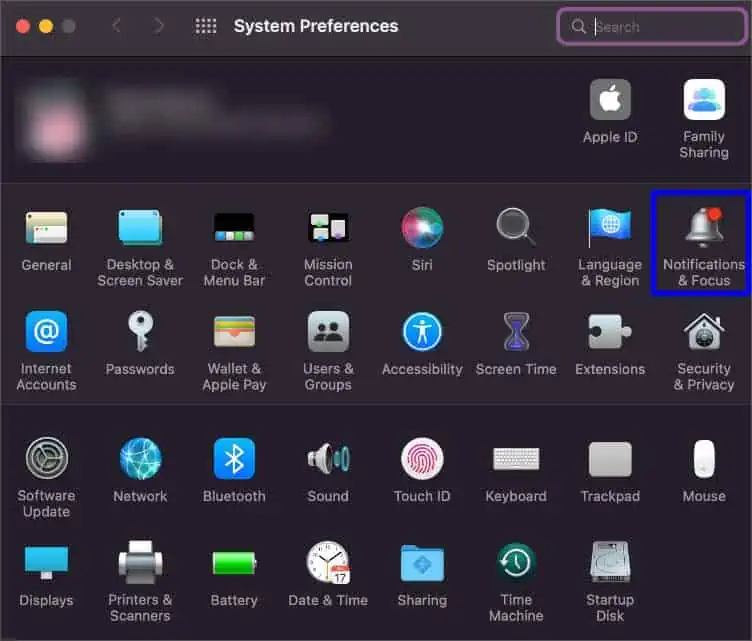 notifications-and-focus-icon