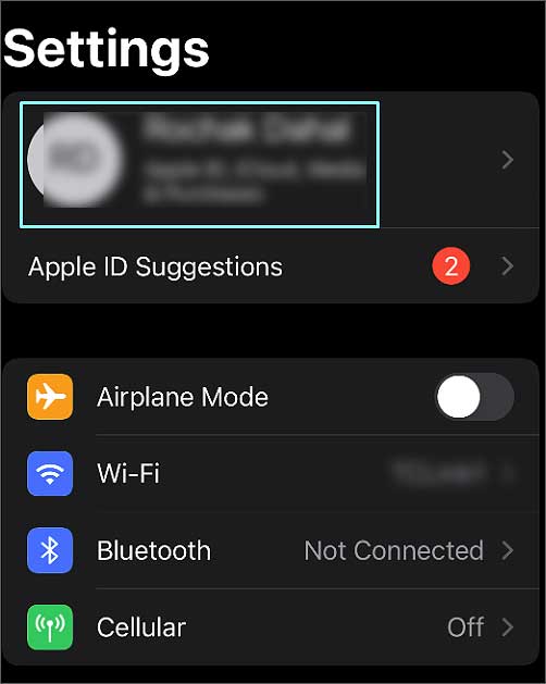 profile-on-settings-in-iphone