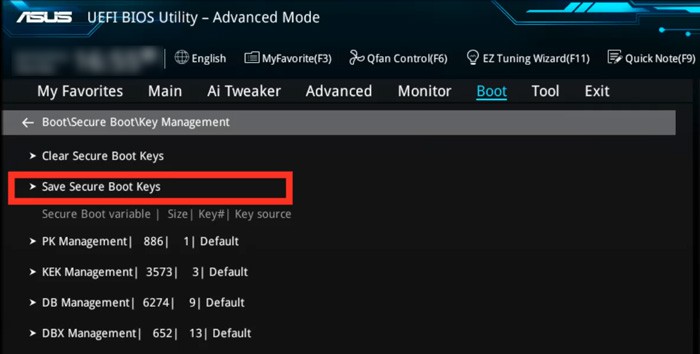 save-secure-boot-keys