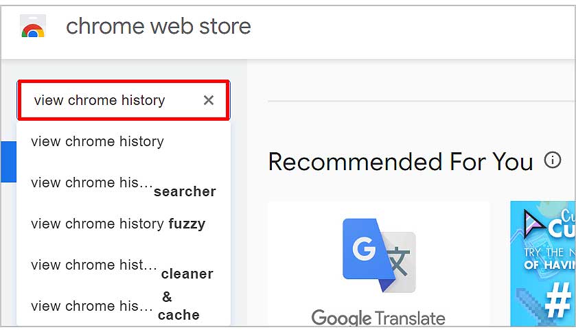 search-view-chrome-history