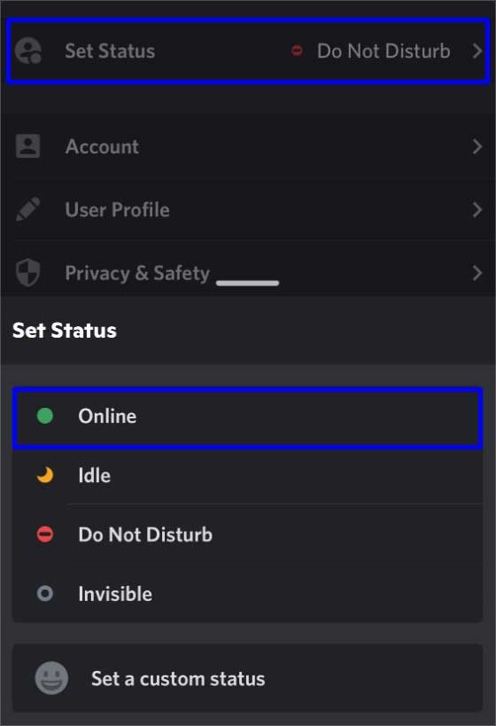 set-status-as-online