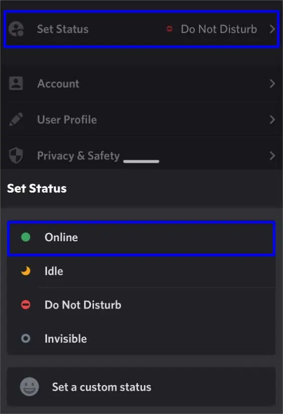 Discord Notifications Not Working? Here's How to Fix It 50 set-status-as-online
