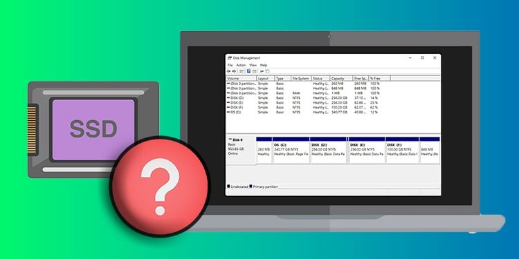 Opdage Lad os gøre det ciffer SSD Not Showing Up In Disk Management? Here's How To Fix It