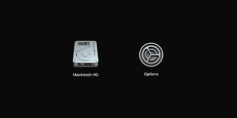 startup-options-1