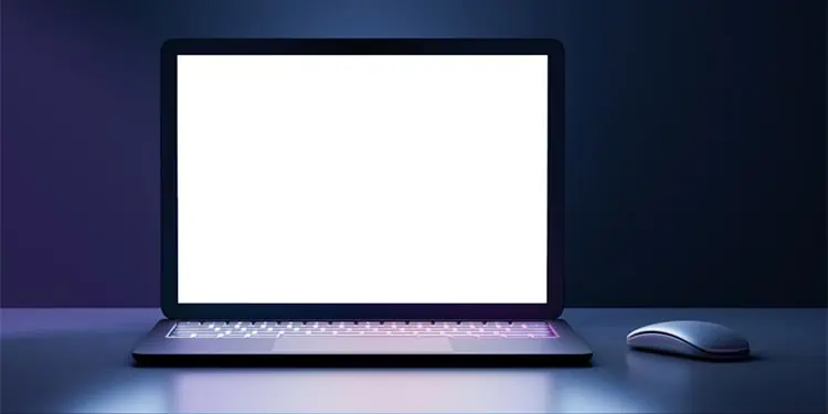 10 Ways to Fix White Screen on a Laptop
