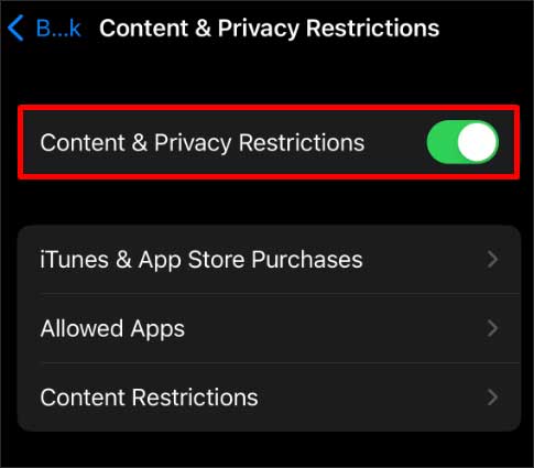 disable-content-and-privacy-restrictions