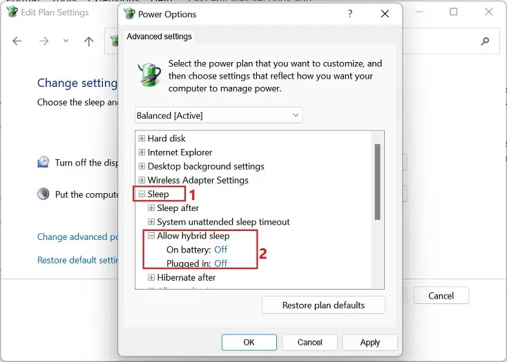 Computer Not Going to Sleep? 10 Ways to Fix it 46 disable-hybrid-sleep