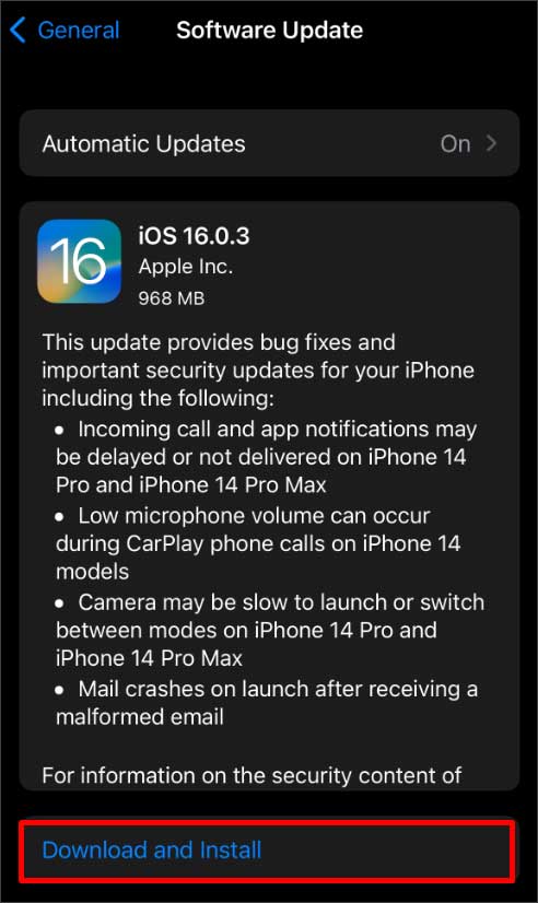 download-and-install-option