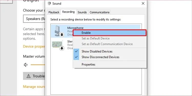 enable-mic
