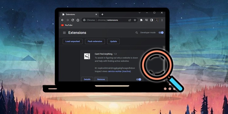 how to view extensions in chrome