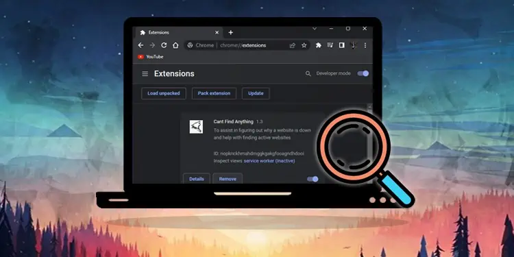 How to View Extensions in Chrome