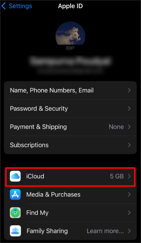 Why Is ICloud Greyed Out  7 Ways To Fix It - 14