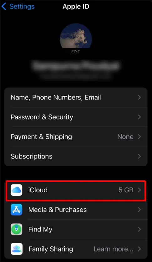 icloud-option