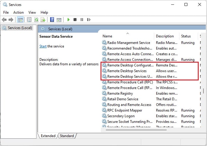 remote desktop services