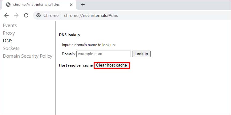 reset chrome dns