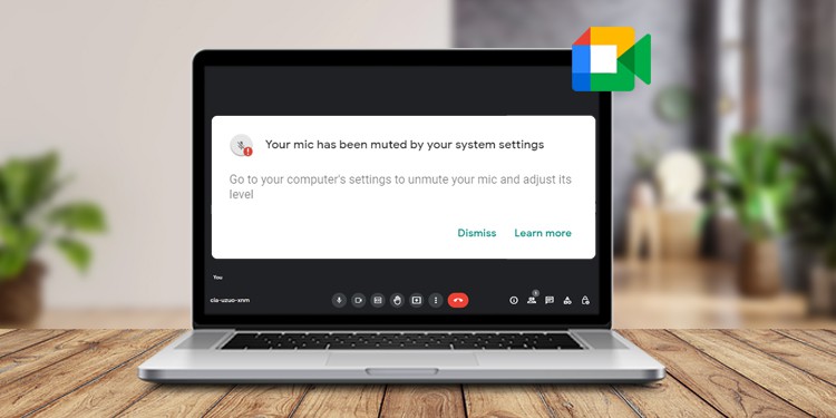 your-mic-is-muted-by-your-system-settings