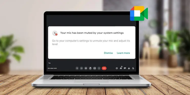 Fix: “Your Mic is Muted by Your System Settings“ Error