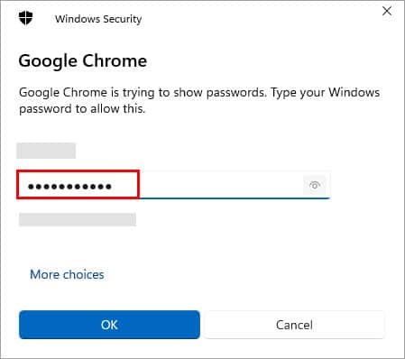 Chrome-Reveal-Password-Admin-Password
