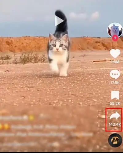 How to Embed Video on Twitter? 57 Embed-TikTok-Video-Mobile-Share