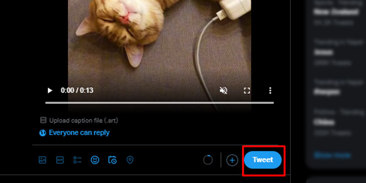 How To Embed Video On Twitter  - 4