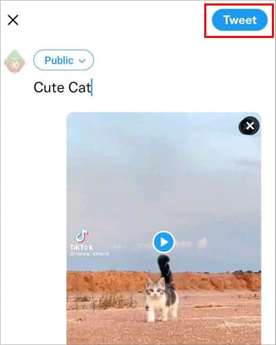 How To Embed Video On Twitter  - 32
